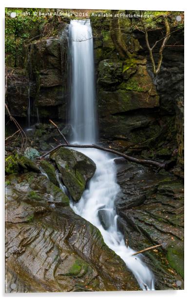 Lumsdale Falls Acrylic by Beata Aldridge