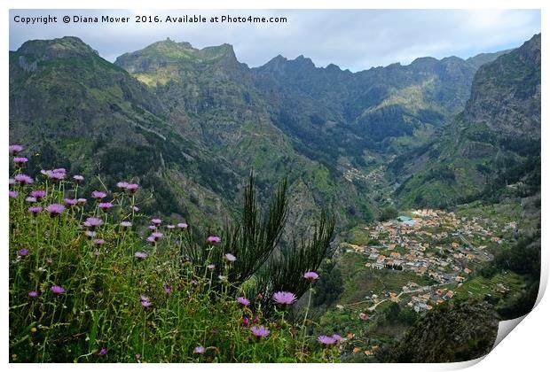 The Nuns Valley Madeira Print by Diana Mower