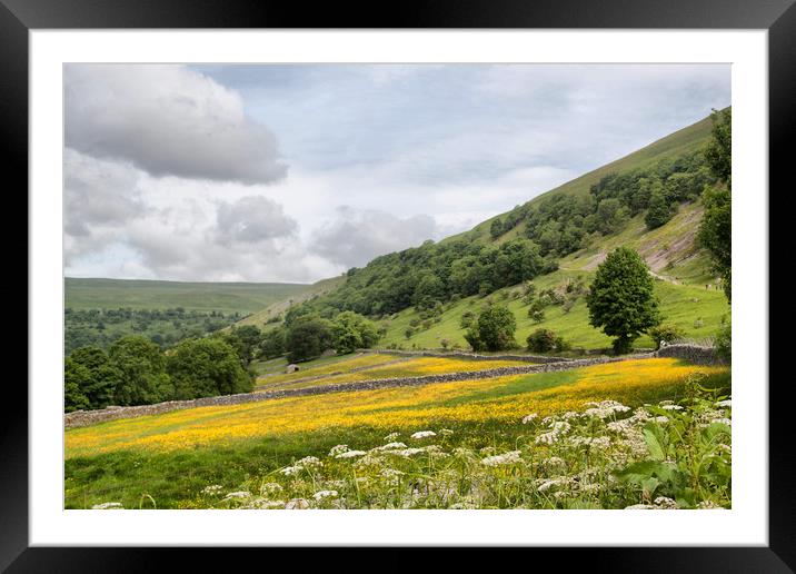 The Dales in Spring Framed Mounted Print by Irene Burdell