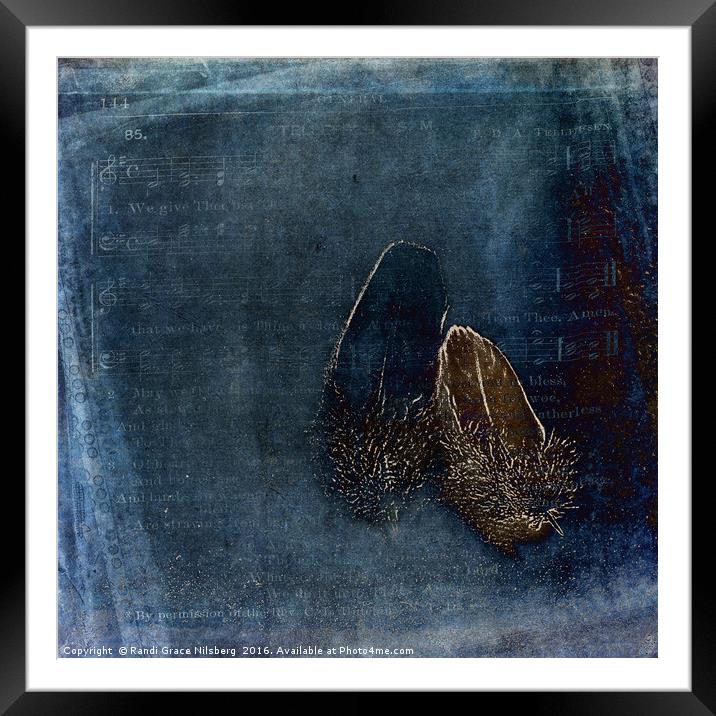 Touch of a Feather Framed Mounted Print by Randi Grace Nilsberg
