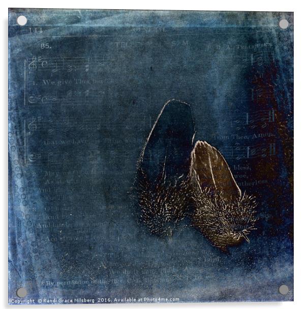 Touch of a Feather Acrylic by Randi Grace Nilsberg