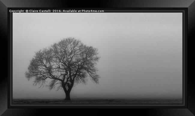 The lone tree Framed Print by Claire Castelli