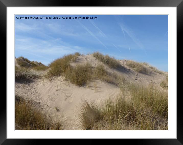 Golden Hour on Serene Seaside Dunes Framed Mounted Print by Andrew Heaps