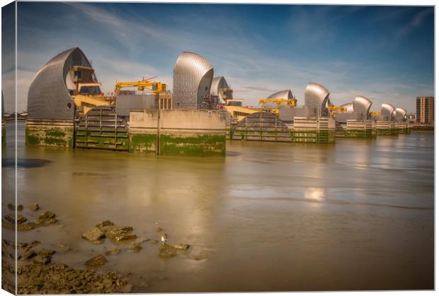 Thames Barrier And Seagull Canvas Print by Clive Eariss