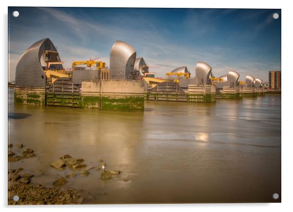 Thames Barrier And Seagull Acrylic by Clive Eariss