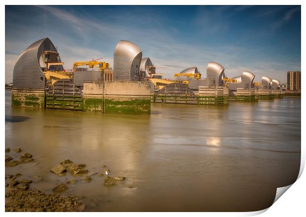 Thames Barrier And Seagull Print by Clive Eariss