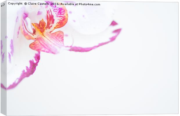 Pure and Simple 2 Canvas Print by Claire Castelli