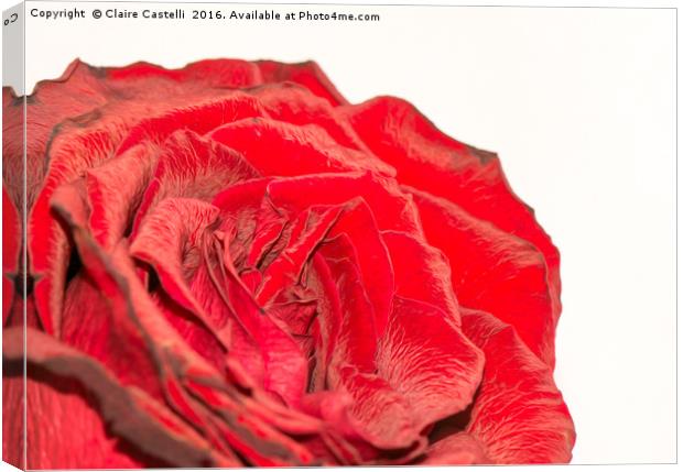 Roses are red Canvas Print by Claire Castelli