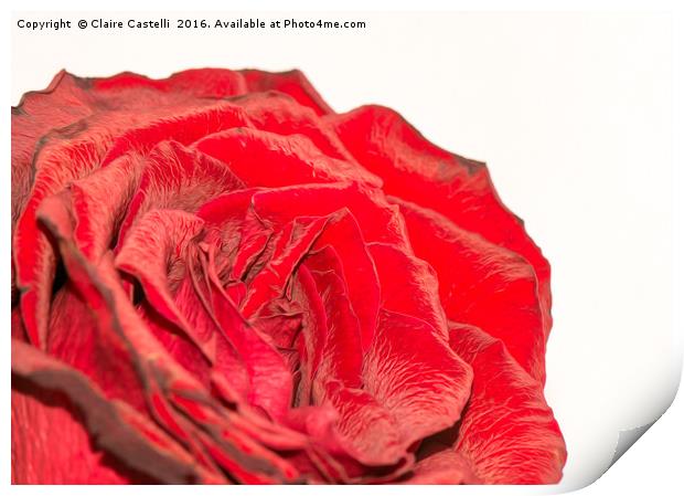 Roses are red Print by Claire Castelli