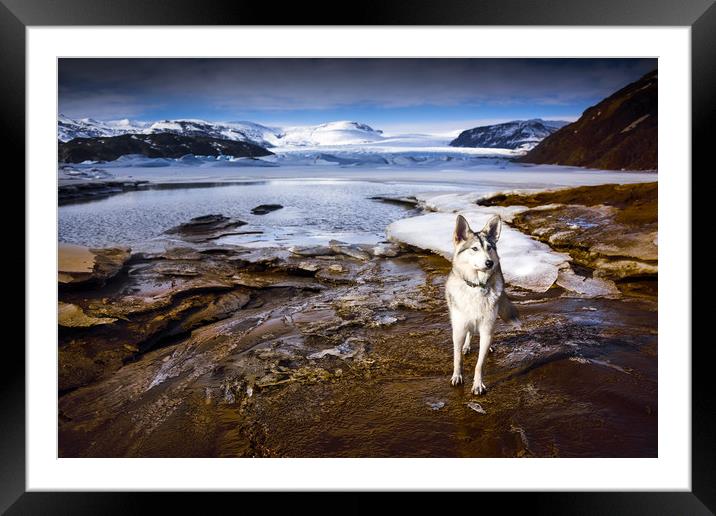 Glacier Guardian  Framed Mounted Print by Svetlana Sewell