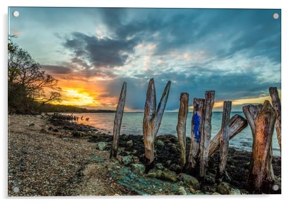 Woodside Bay Isle Of Wight Sunset Acrylic by Wight Landscapes