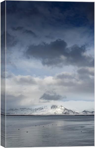 Icelandic Views Canvas Print by Gail Johnson