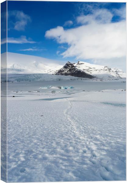 Fjallsárlon glacier (walk) Icelandic Views Canvas Print by Gail Johnson