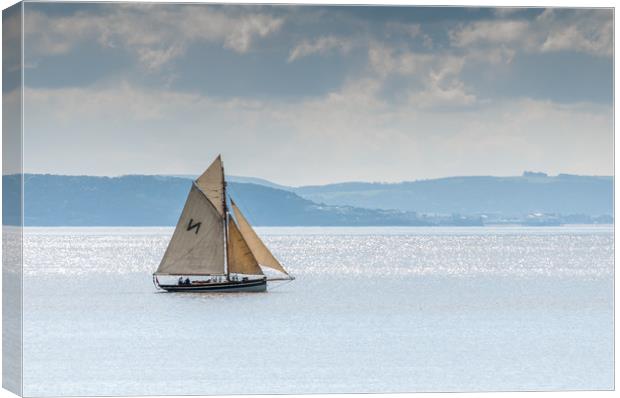 Falmouth Working Boat Canvas Print by Steve Purnell