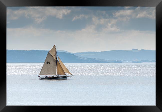 Falmouth Working Boat Framed Print by Steve Purnell