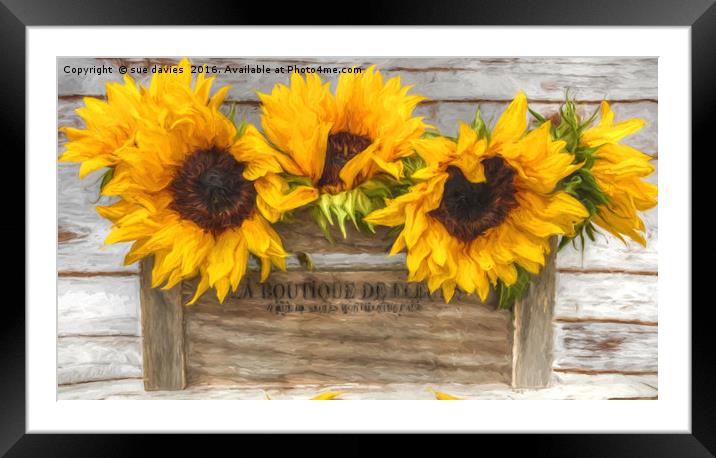 sunflowers van gogh style Framed Mounted Print by sue davies
