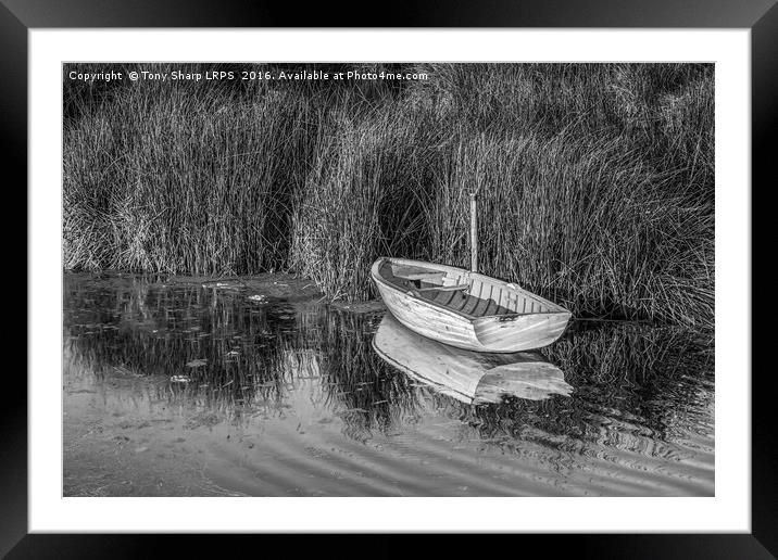 Rowing Boat Alongside Reeds Framed Mounted Print by Tony Sharp LRPS CPAGB