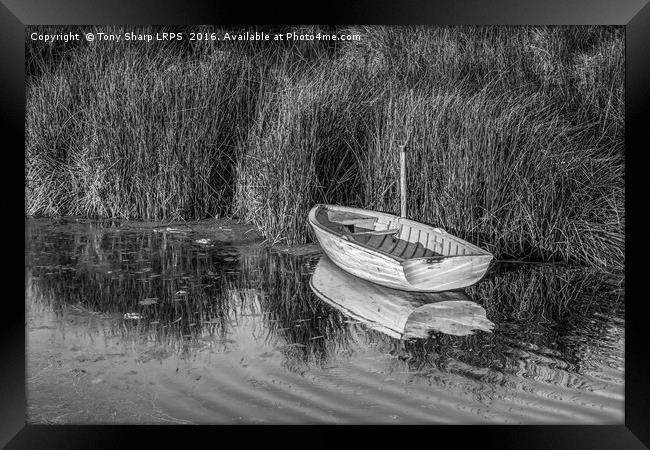Rowing Boat Alongside Reeds Framed Print by Tony Sharp LRPS CPAGB