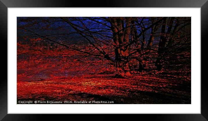 Last Light Red Contrast Framed Mounted Print by Florin Birjoveanu