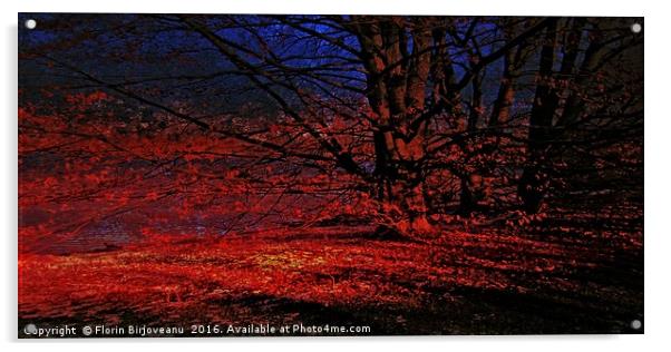 Last Light Red Contrast Acrylic by Florin Birjoveanu