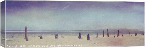 Seaside Sticks Canvas Print by Chris Williams