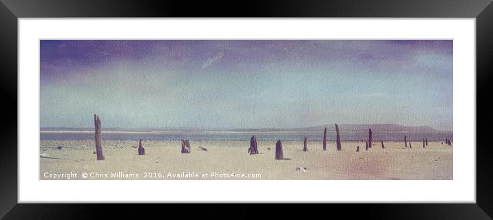 Seaside Sticks Framed Mounted Print by Chris Williams