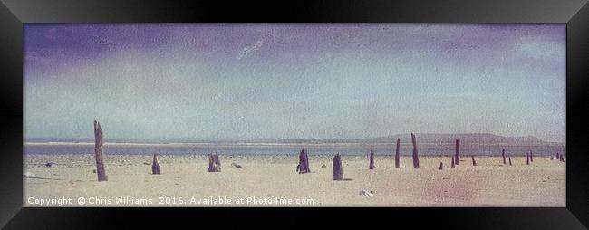 Seaside Sticks Framed Print by Chris Williams