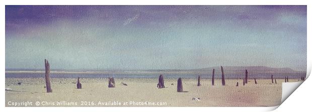 Seaside Sticks Print by Chris Williams