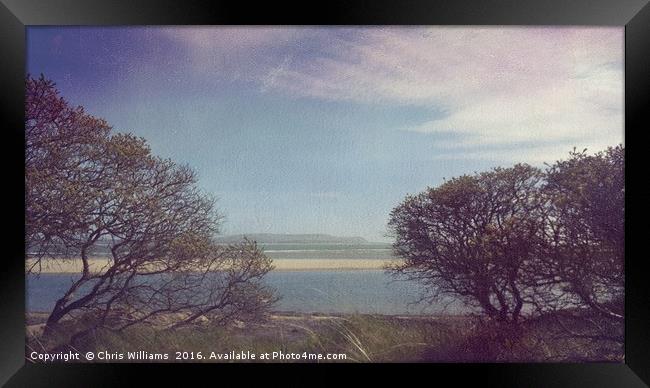 A View From The Dune Framed Print by Chris Williams