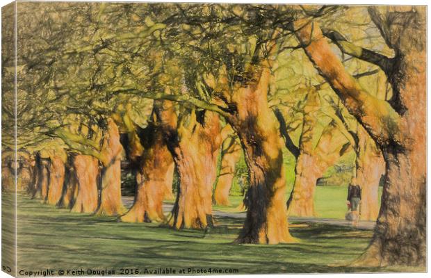 The Avenue Canvas Print by Keith Douglas