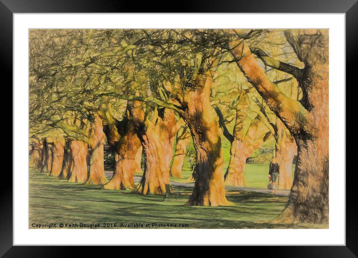 The Avenue Framed Mounted Print by Keith Douglas