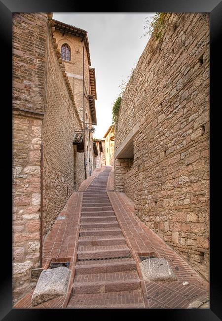 Italian steps Framed Print by Ian Middleton