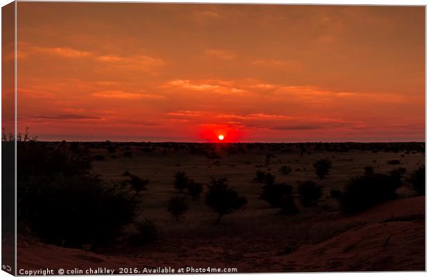 Sunset in Etosha National Park Canvas Print by colin chalkley