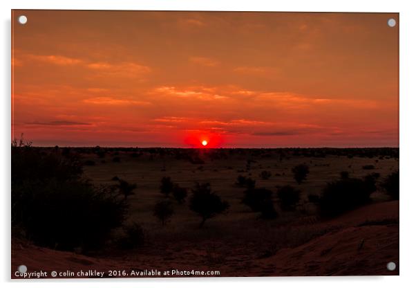 Sunset in Etosha National Park Acrylic by colin chalkley
