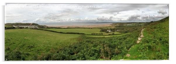 Panoramic Gower Acrylic by Brian The Destroyer