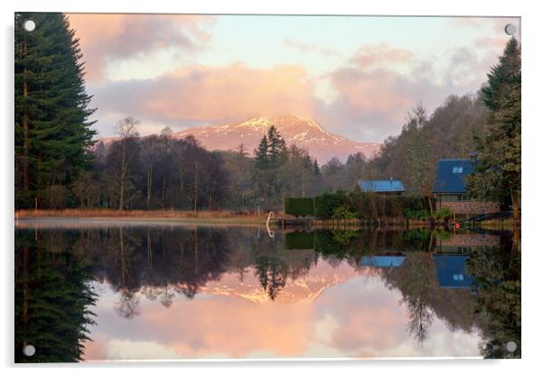 Ben Lomond Reflections Acrylic by Miles Gray