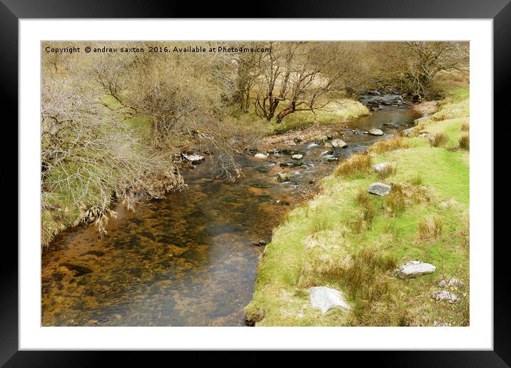 DARTMOOR STREAM Framed Mounted Print by andrew saxton