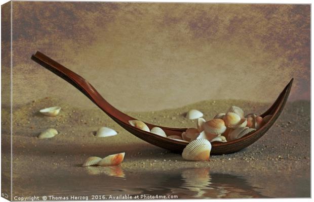 Seashells shuttle Canvas Print by Thomas Herzog