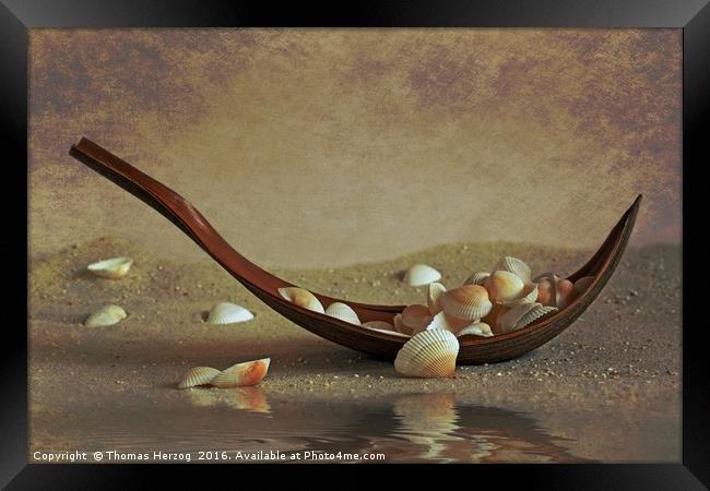 Seashells shuttle Framed Print by Thomas Herzog