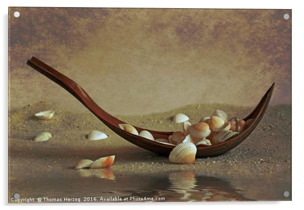 Seashells shuttle Acrylic by Thomas Herzog