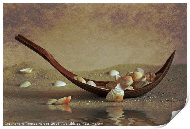Seashells shuttle Print by Thomas Herzog