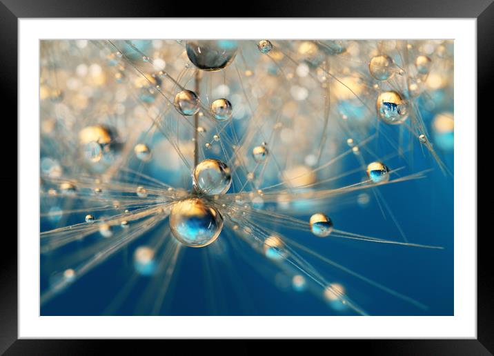 Dandy Drops in Royal Blue Framed Mounted Print by Sharon Johnstone