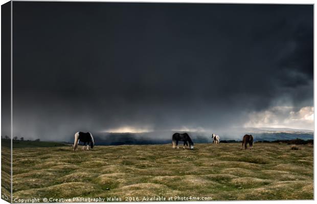 Black Mountain Ponies at Hay Bluff Canvas Print by Creative Photography Wales