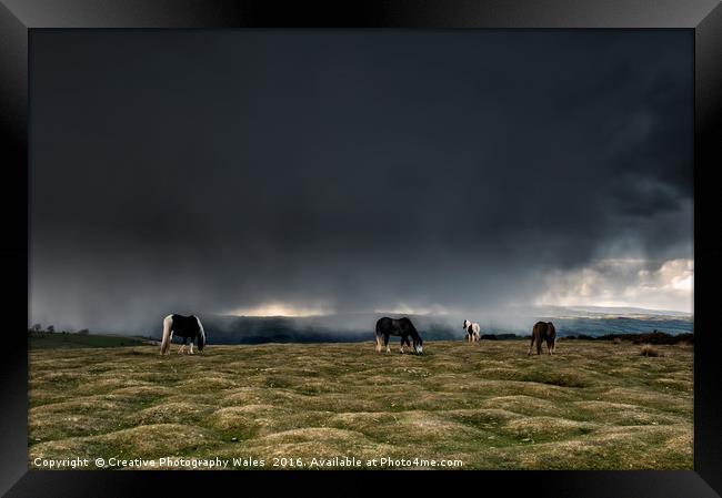 Black Mountain Ponies at Hay Bluff Framed Print by Creative Photography Wales
