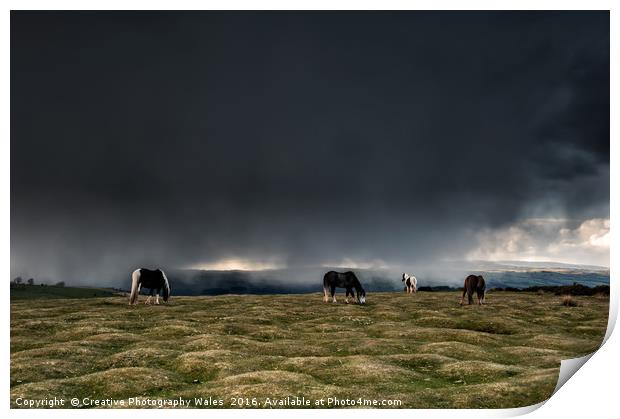 Black Mountain Ponies at Hay Bluff Print by Creative Photography Wales