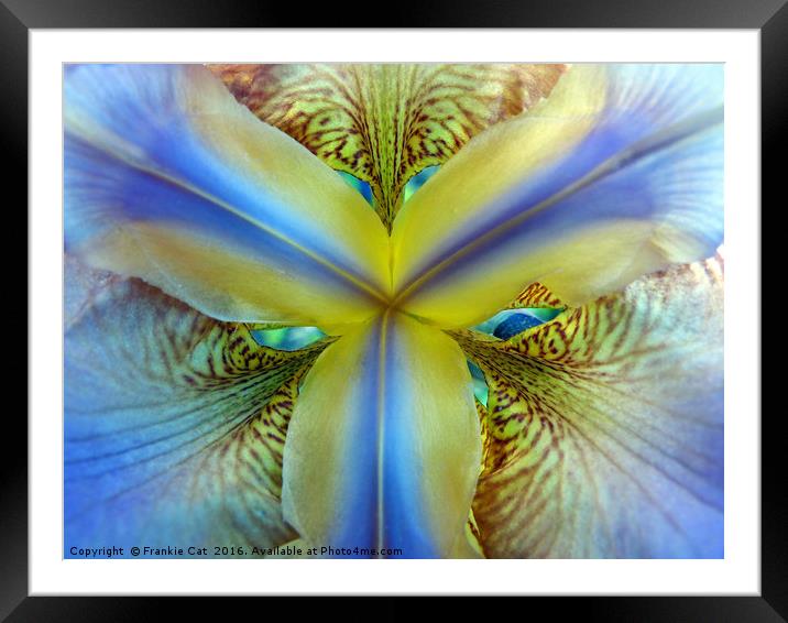 Inside of an Iris Framed Mounted Print by Frankie Cat