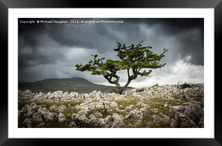 Dales Hawthorn Framed Mounted Print by Michael Houghton