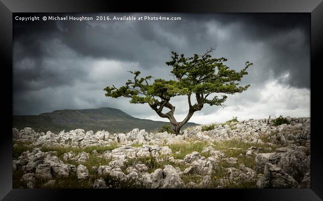 Dales Hawthorn Framed Print by Michael Houghton