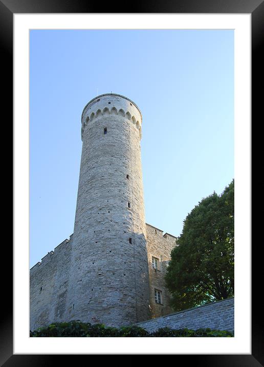 Toompea Castle Tallinn Old Town Estonia Framed Mounted Print by Carole-Anne Fooks