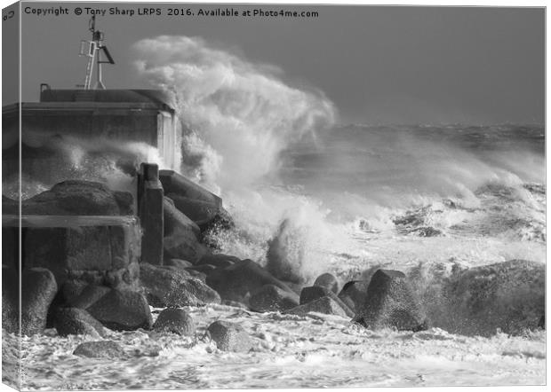 Under Attack! Canvas Print by Tony Sharp LRPS CPAGB